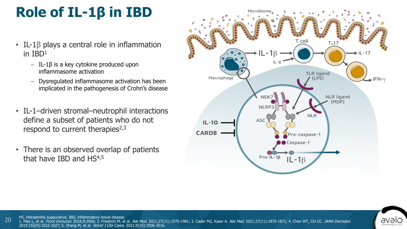 slide20
