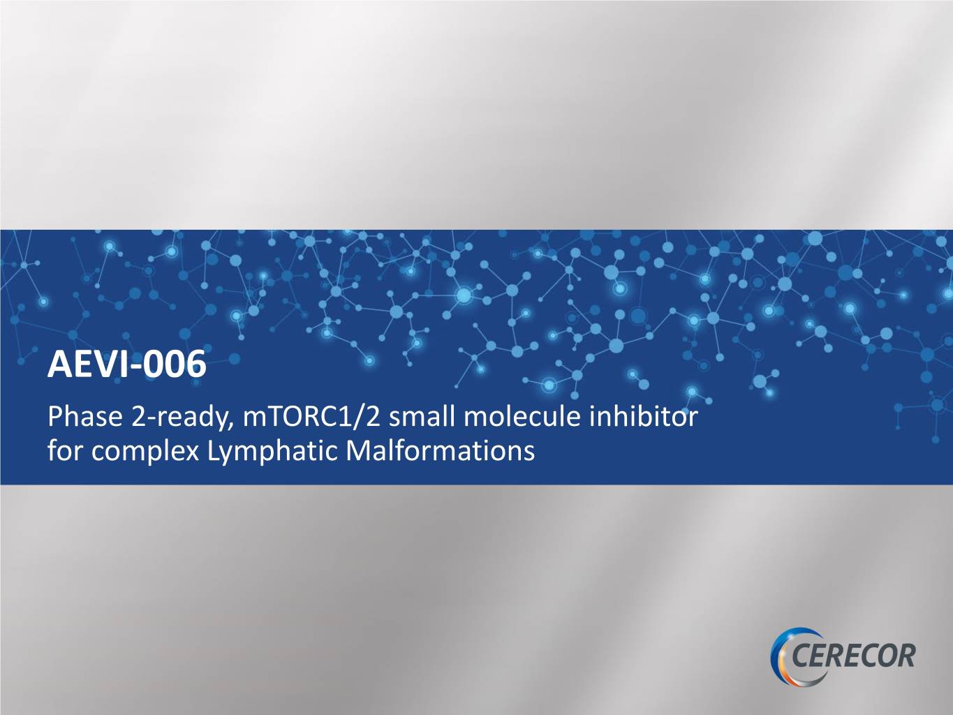 slide21