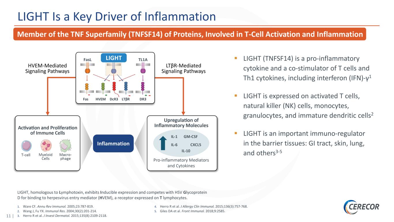 slide11