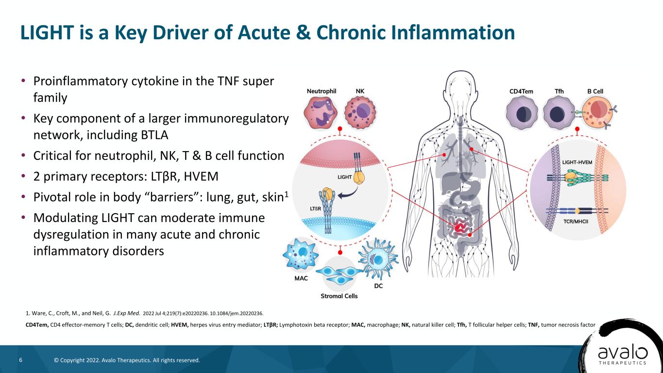 slide6