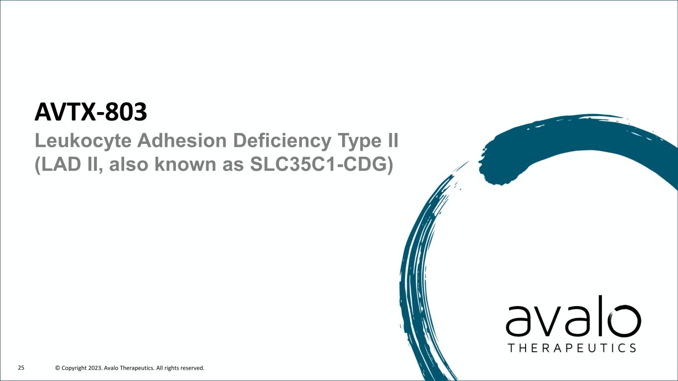 slide25
