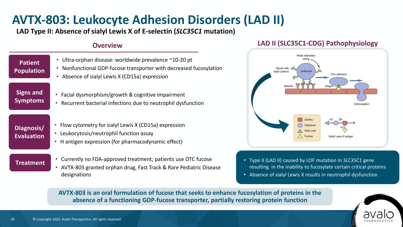 slide26