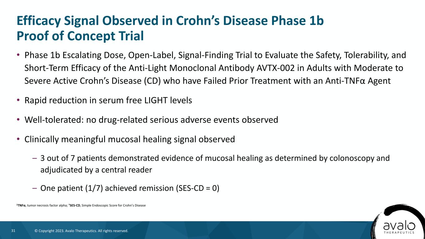 slide31