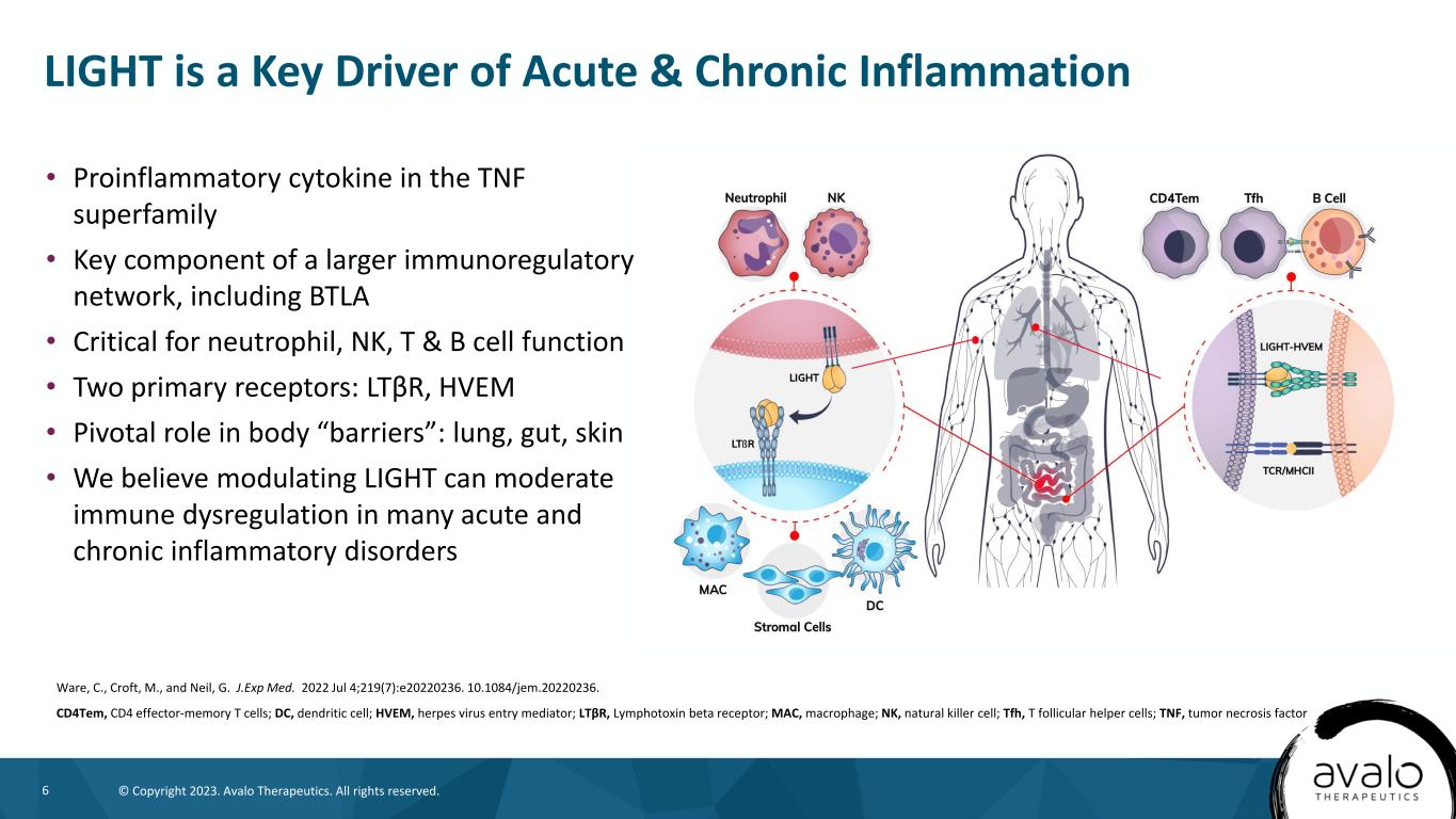 slide6
