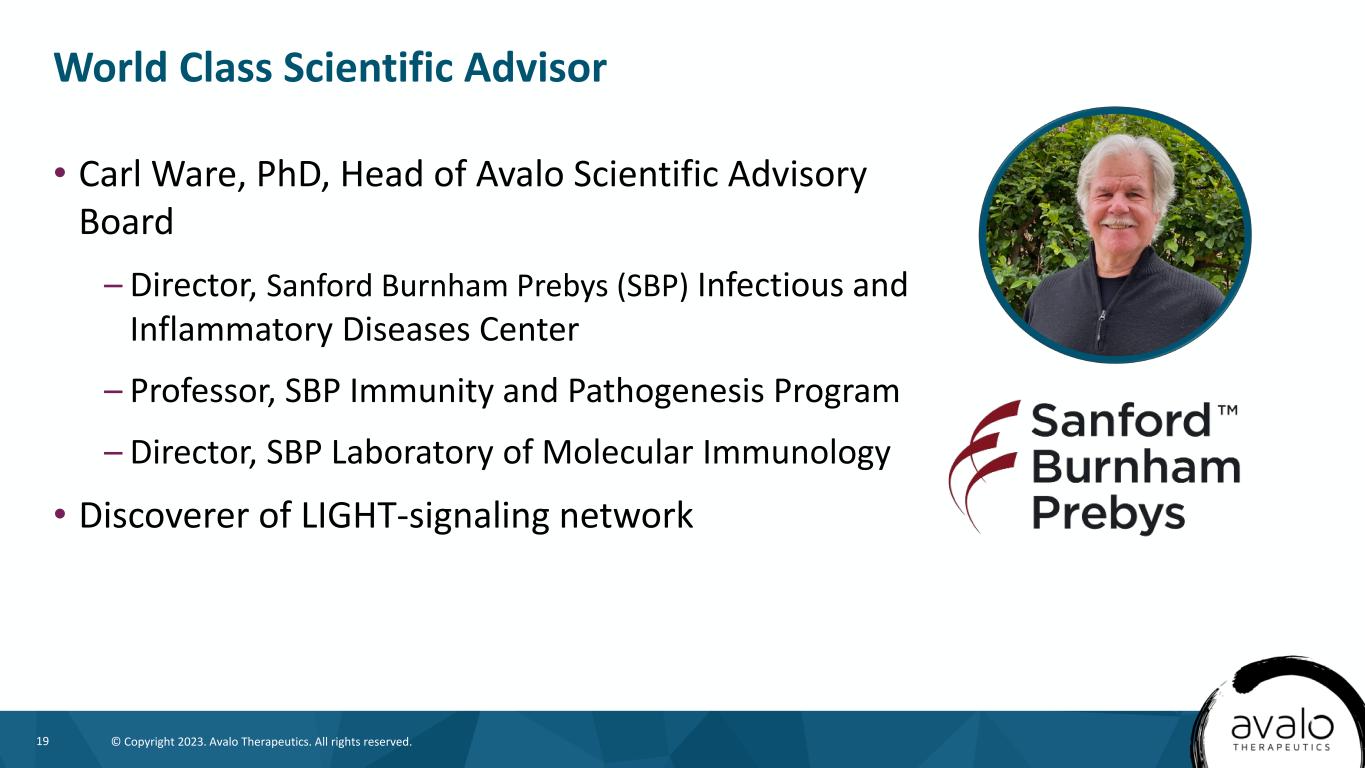 slide19