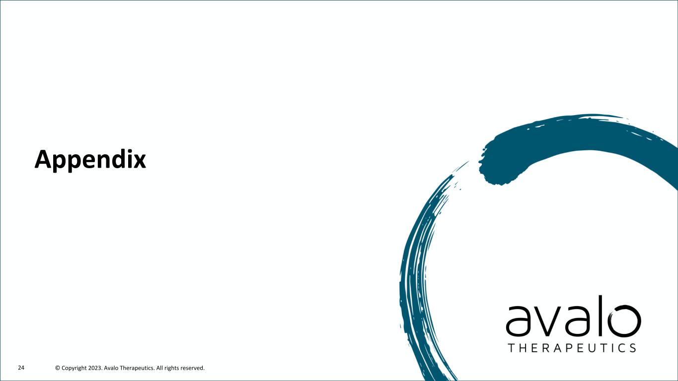 slide24