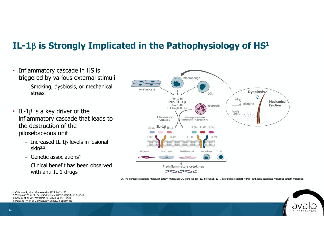 slide11