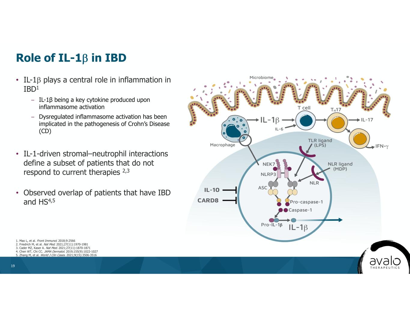 slide19